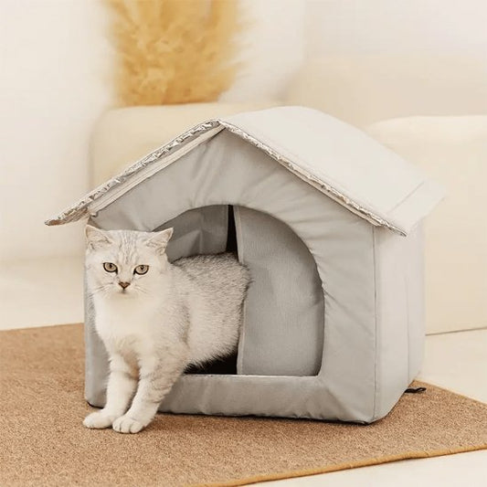 panier chat design maison chat debout salon