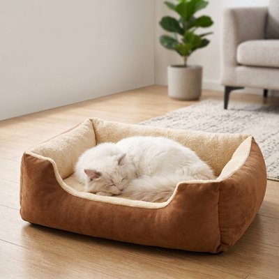 panier chat marron chat dormant salon