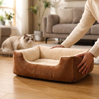 panier chat marron maitresse chat salon