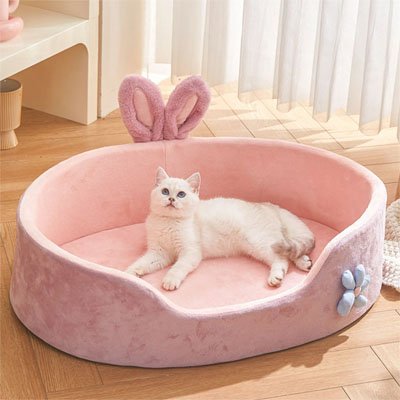 panier chat oreilles de lapin chat allonge salon