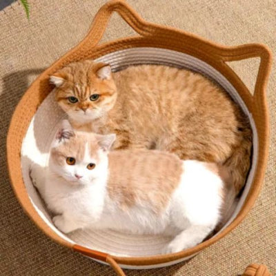 panier-chat-osier-design-confortable