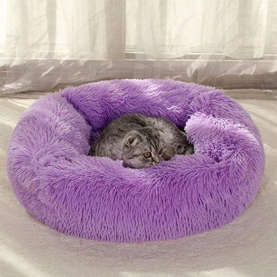 panier chat rectangulaire violet chat allonge salon
