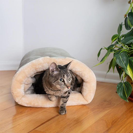 panier chat sac de couchage gris chat sortant
