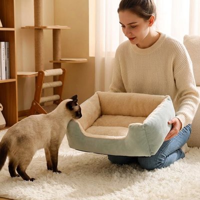 panier chat vert sauge maitresse chat debout salon