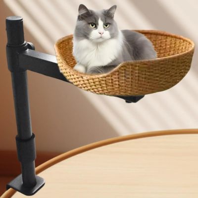 panier en osier pour chat suspendu avec chat