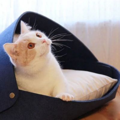 panier original chat en feutre de laine salon avec chat dedans