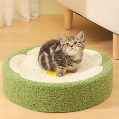 panier original pour chat en sisal avec chaton