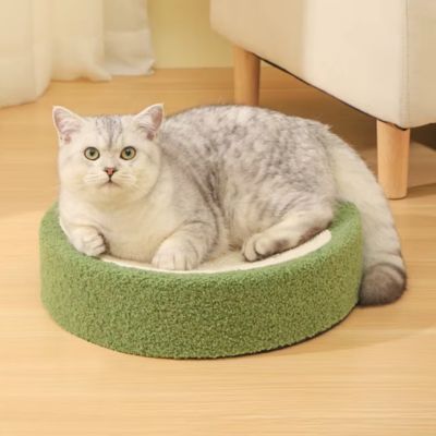 panier original pour chat en sisal vert