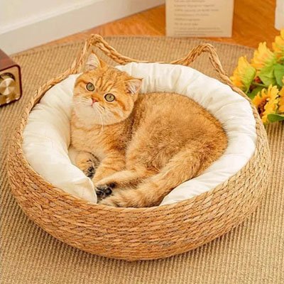 panier osier chat natuel chat allonge salon