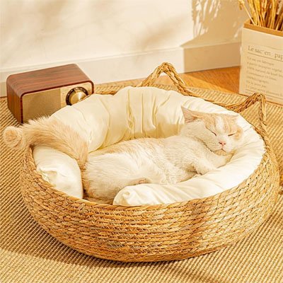 panier osier chat natuel chat dormant salon