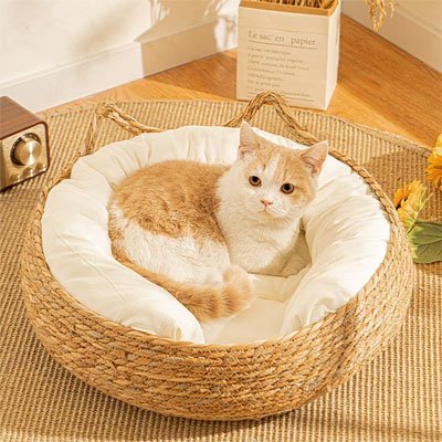 panier osier chat natuel salon chat allonge