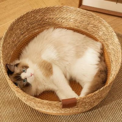 panier osier pour chat lit tisse avec chat confortable