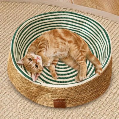 panier osier pour chat lit tisse vert