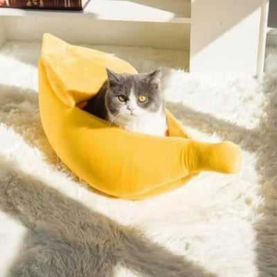 panier-pour-chat-banane