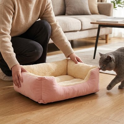 panier pour chat bicolore maitresse chat salon