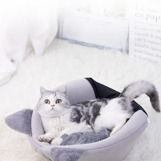 panier pour chat gris tete felin chat allonge