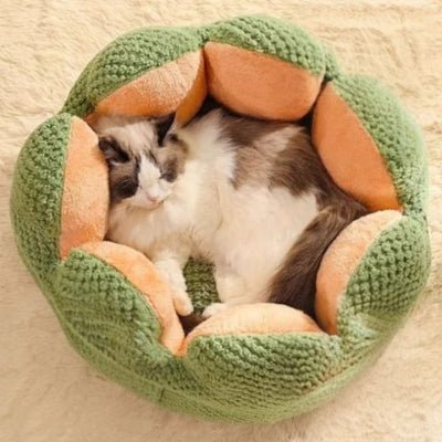 Panier pour chat | Lotus - Mon Adorable Félin