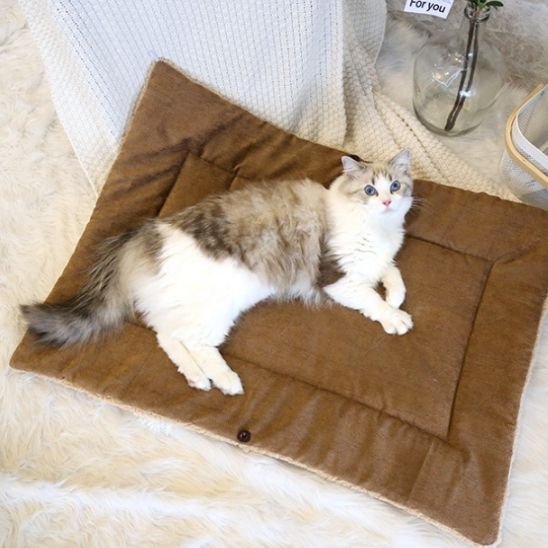 panier pour chat modulable marron chat allonge