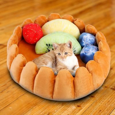 panier pour chat original tarte aux fruits avec chat