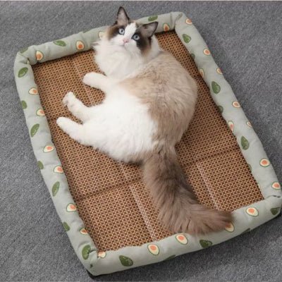 Panier pour chat | Rafraichissant - Mon Adorable Félin