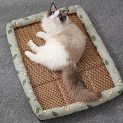 panier-pour-chat-rafraichissant