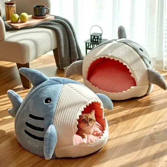 panier pour chat requin bleu gris chat allonge salon
