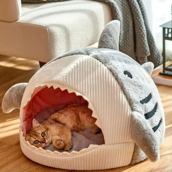 panier pour chat requin gris chat allonge salon
