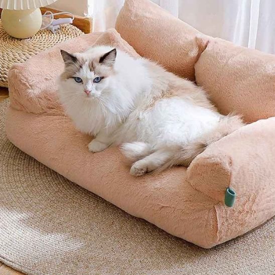 panier pour chat sofa beige chat allonge salon