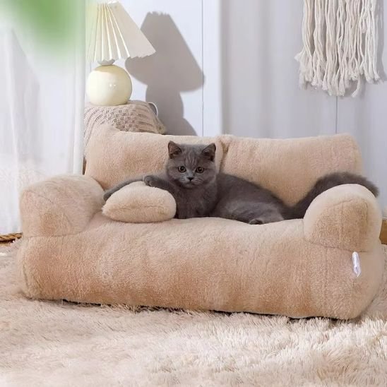 panier pour chat sofa marron chaton allonge salon
