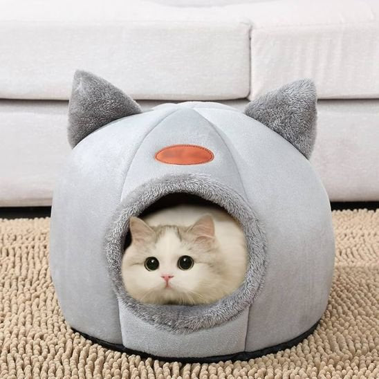 panier pour chat tete felin gris chat allonge