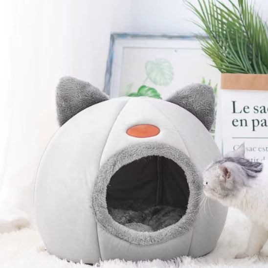 panier pour chat tete felin gris chat debout
