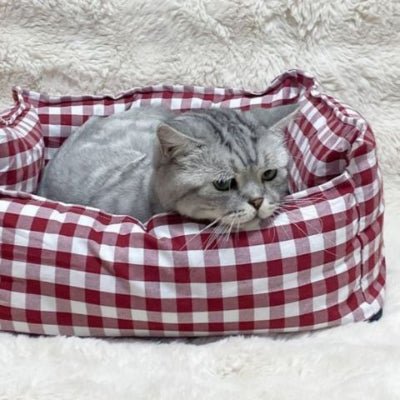 Panier pour chat | Vichy - Mon Adorable Félin