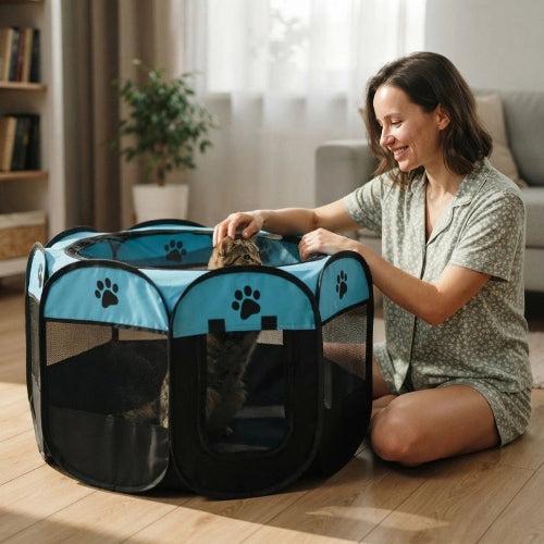 parc pour chat bicolore bleu maitresse chat debout