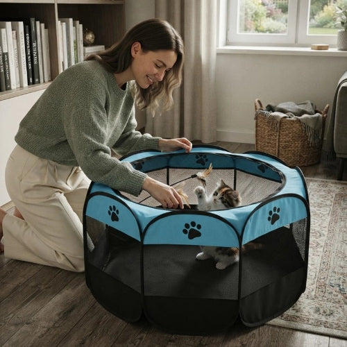 parc pour chat bicolore bleu maitresse chat jouant