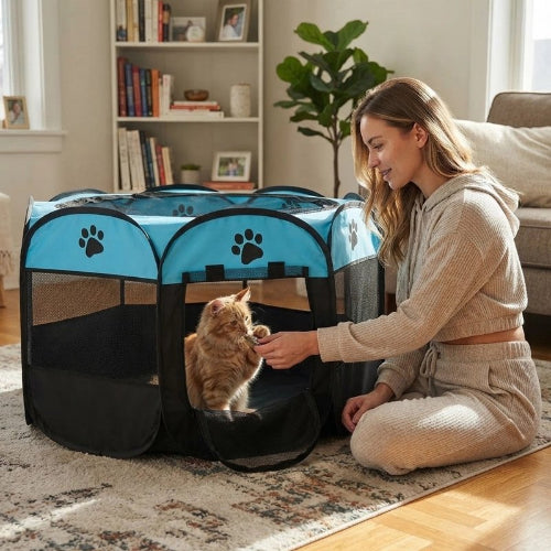 parc pour chat bicolore bleu maitresse chat