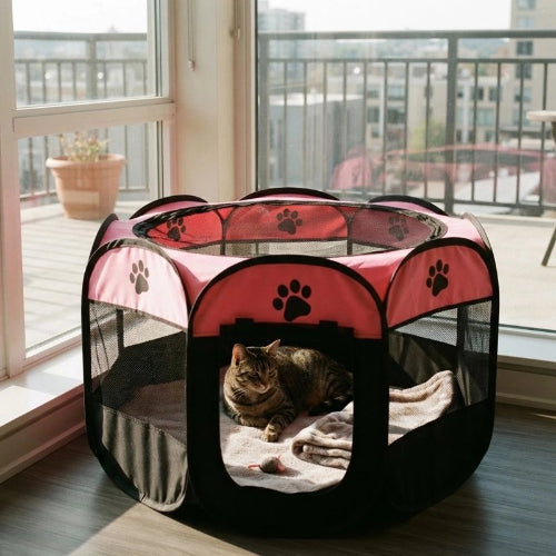 parc pour chat bicolore rose chat allonge