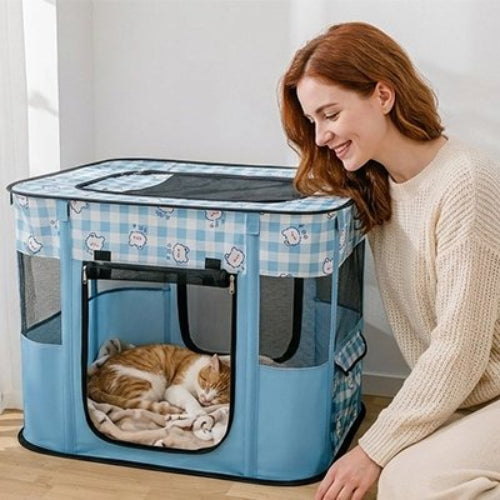 parc pour chat bleu maitresse chat dormant