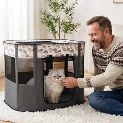 parc pour chat gris maitre avec chat