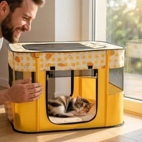 parc pour chat jaune maitre chat dormant