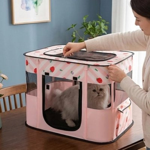 parc pour chat rose maitresse avec chat