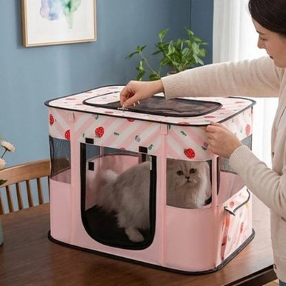 parc pour chat rose maitresse avec chat