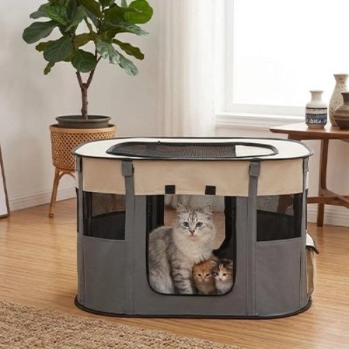 parc pour chat tricolore gris avec chats
