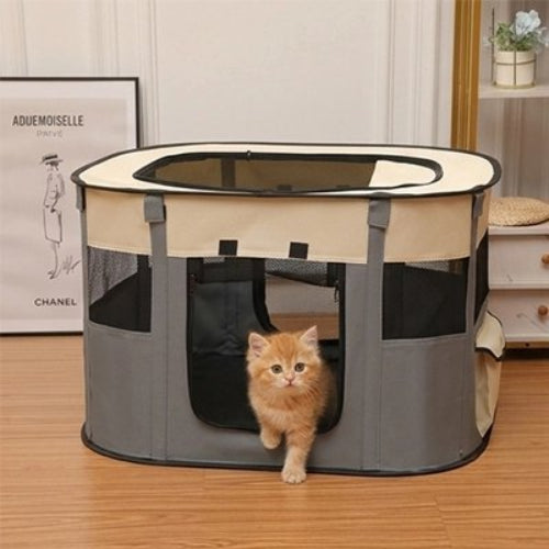 parc pour chat tricolore gris chaton sortant