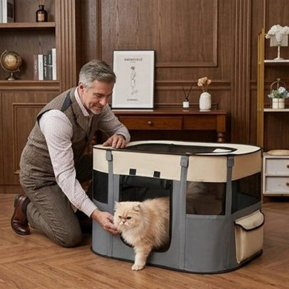 parc pour chat tricolore gris maitre chat sortant