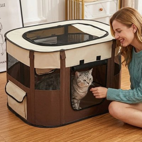 parc pour chat tricolore marron maitresse avec chat