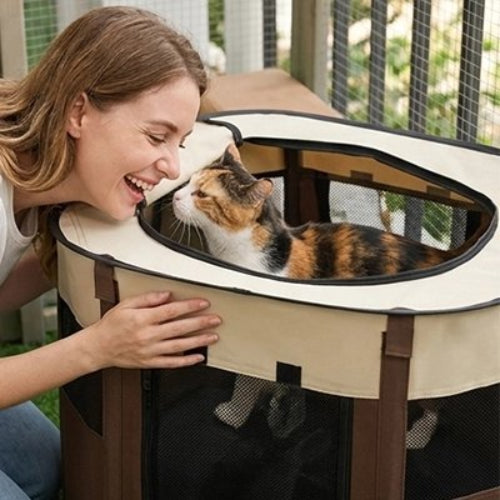 parc pour chat tricolore marron maitresse chat debout