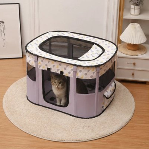 parc pour chat violet chat assis