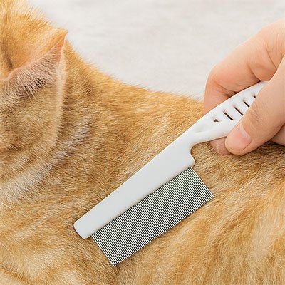 peigne chat polyvalent fourrure chat