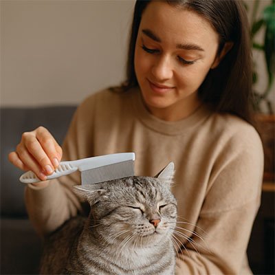peigne chat polyvalent maitresse chat apaise