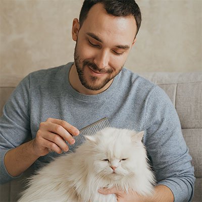 peigne pour chat acier inoxydable maitre souriant chat canape